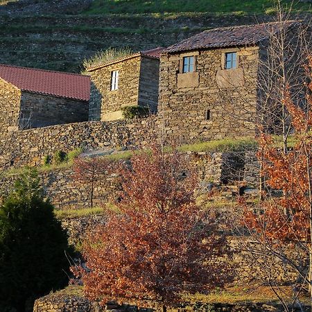 Cardenha Do Douro Villa Mesão Frio Cameră foto
