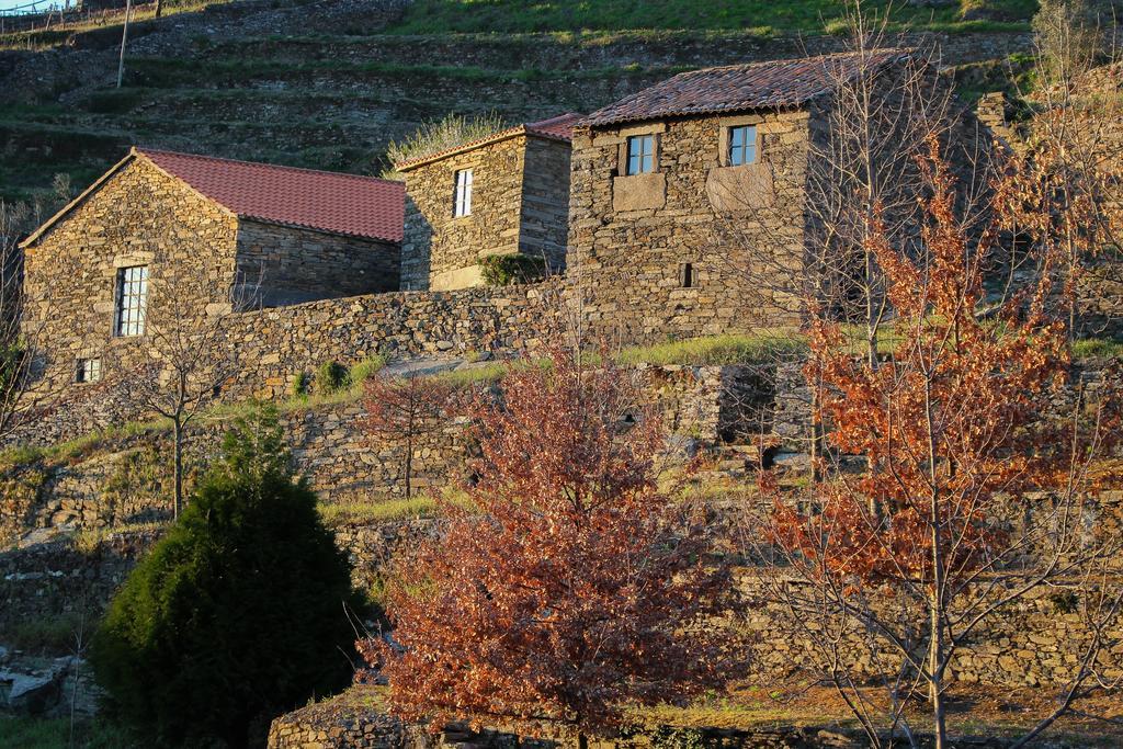 Cardenha Do Douro Villa Mesão Frio Cameră foto